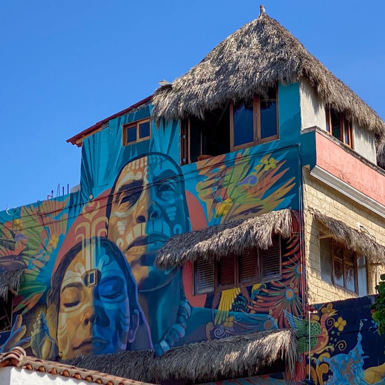 Selva-del-Mar-Sayulita